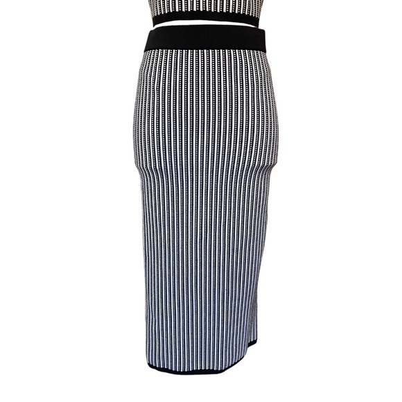 Aritzia Babaton Striped Set- Sculpt Knit Tank & Bodycon Tube Midi Skirt - Picture 7 of 11